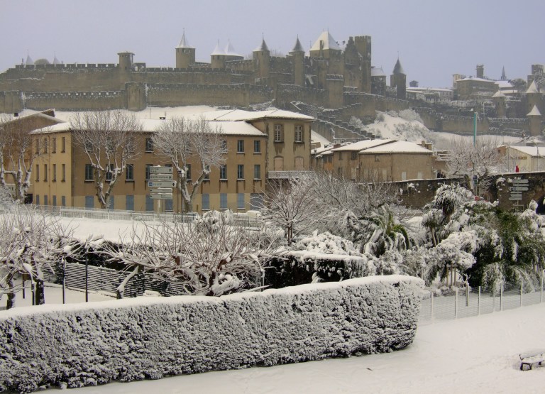 Master Weds DSCF1664