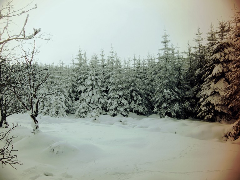 Cyan Mountains Feb 09 032.jpg