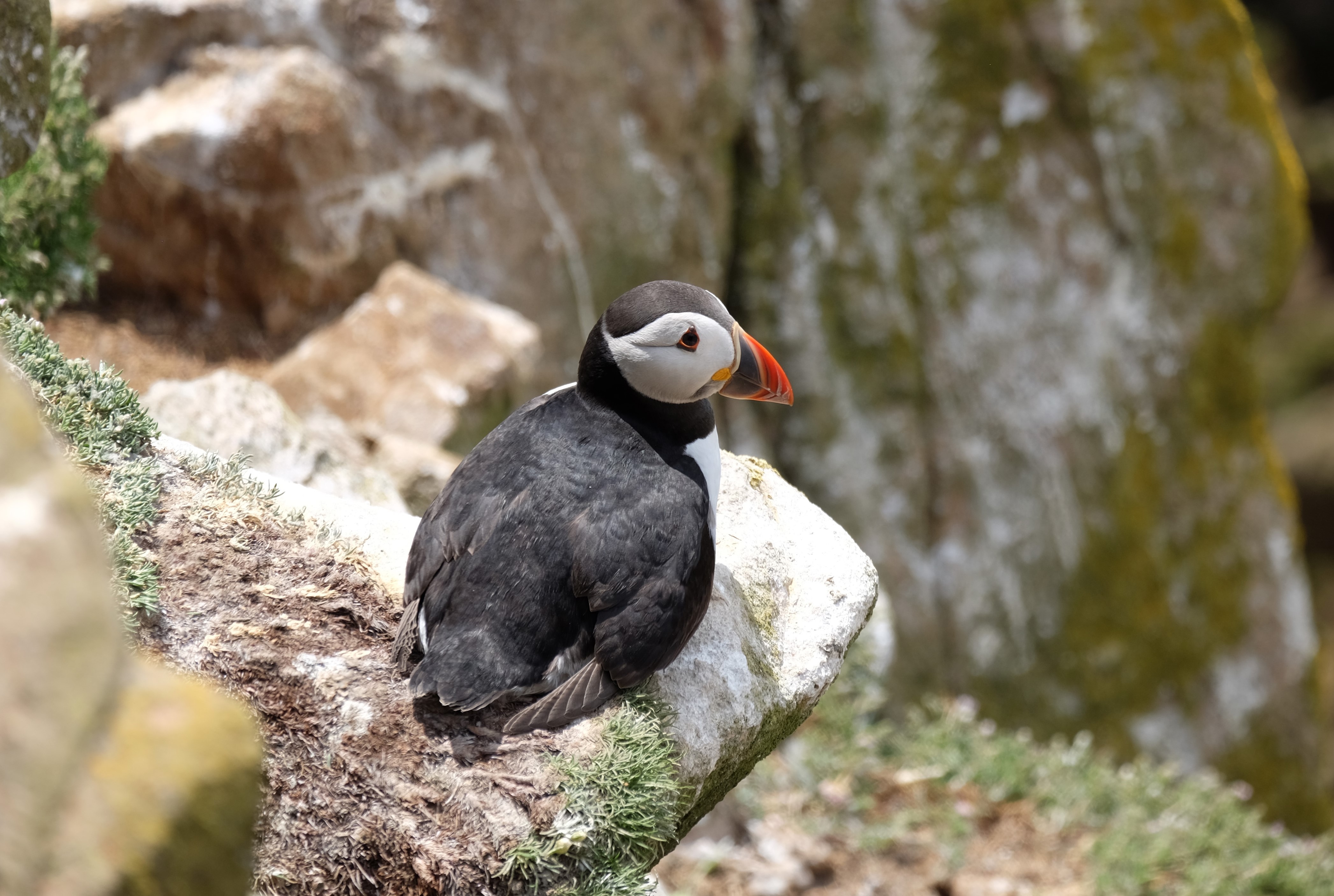 Master no unsharp DSCF2724