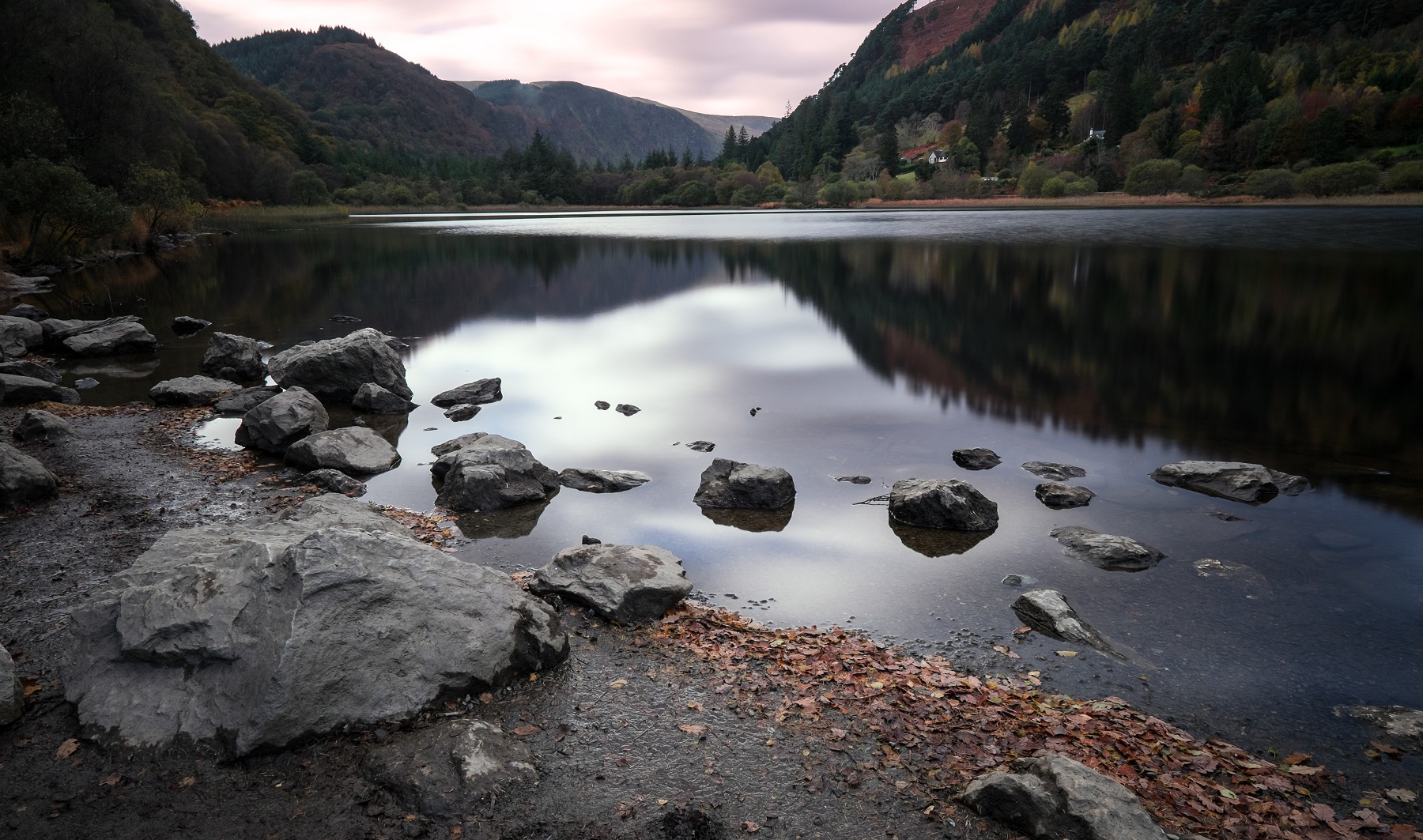 DSCF8062 MASTER Sun (2)